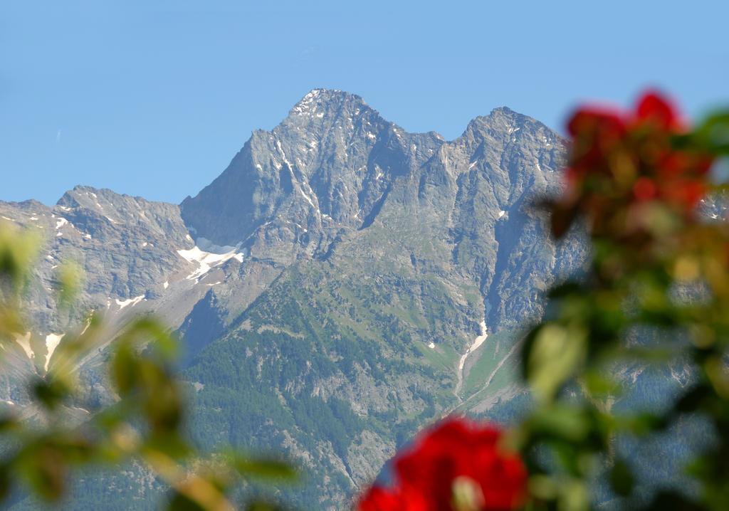 Agriturismo Plan D'Avie Aosta Eksteriør billede