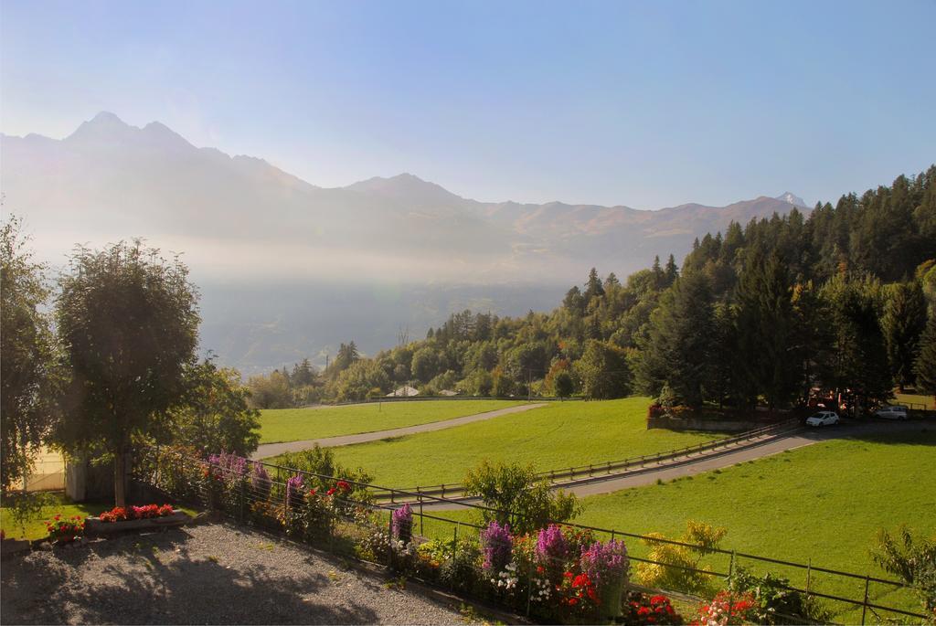 Agriturismo Plan D'Avie Aosta Eksteriør billede
